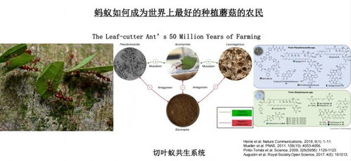 生物农业万亿市场,慕恩生物的探索与实践