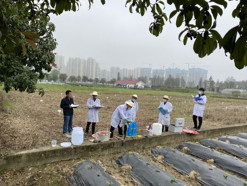 湖南农业大学植物保护学院 学院新闻