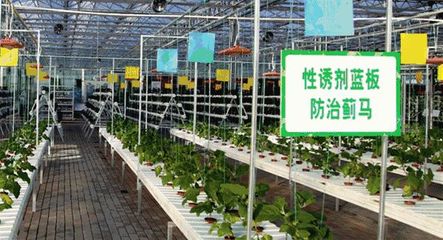 蒙草生态大数据:农业资源数据"一键获取"
