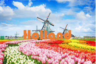 2020全球最佳旅行目的地 榜单重磅出炉,中国唯一上榜的竟然是...