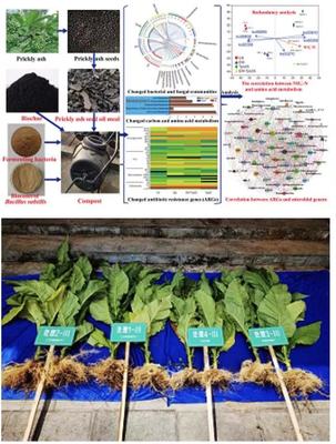 中国农业科学院烟草所在多功能微生物菌肥开发方面取得重要进展