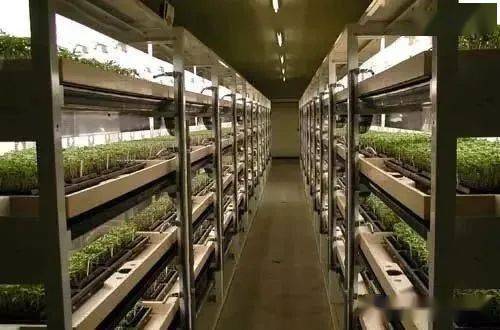 植物工厂是个什么鬼 我国全球第二,关于植物工厂你需要掌握的地理知识