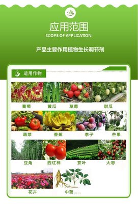 睿源哈茨木霉 原粉 微生物菌剂农业土壤改良抗重茬 哈茨木霉菌