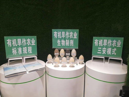 鱼菜共生 植物工厂 这个地方现代农业很酷炫