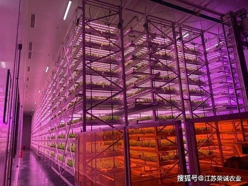 农业颠覆性技术,未来15 20年发展方向