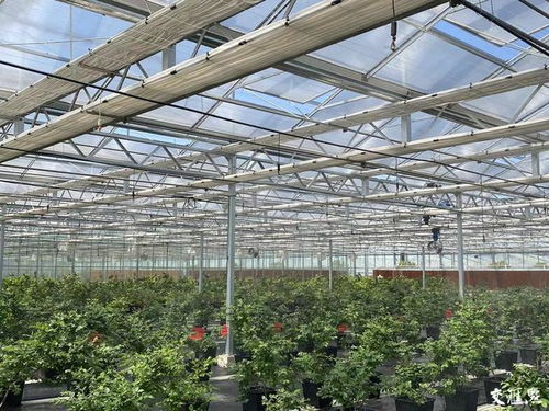 探索 探访5g植物工厂 样板房 农业数字孪生 实验室 畅想未来农业,无人农场将植入 超级大脑