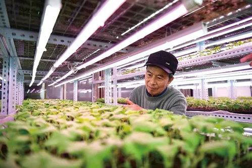 希望通过我的努力,让农民收成更好