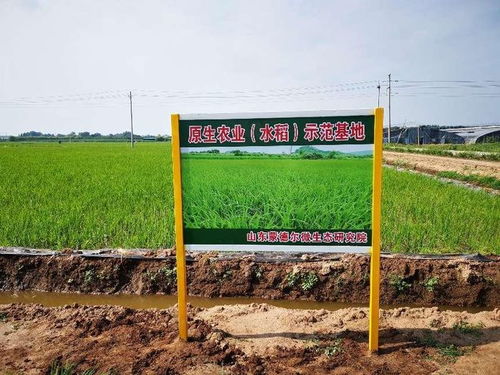 山东日照启动生物农业大战略