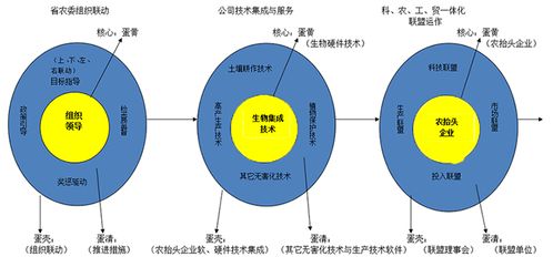 江苏农抬头生物农业 强有机香米 上榜第八届中国科技创新发展论坛指定食品