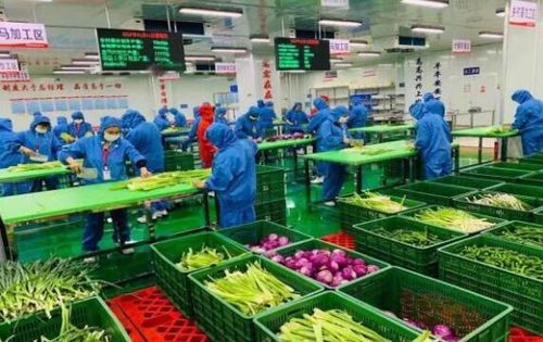 三农日报 12月2日 农业科技 处于各自为战窘况,协同创新缺乏
