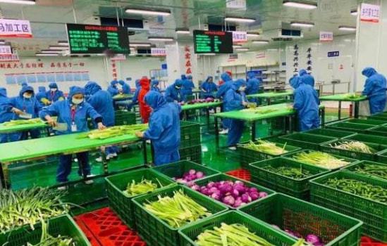 农业产业周报 大疆农业 西王集团 祖名股份 七河生物最新消息