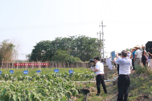 省农业农村厅召开全省农膜回收工作培训班